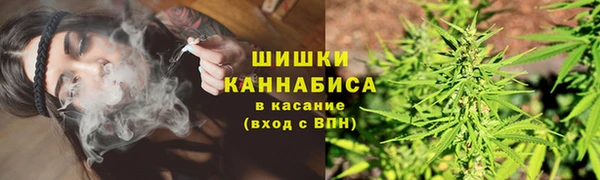 ПСИЛОЦИБИНОВЫЕ ГРИБЫ Баксан